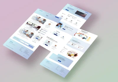 professional wordpress website design or wordpress blog