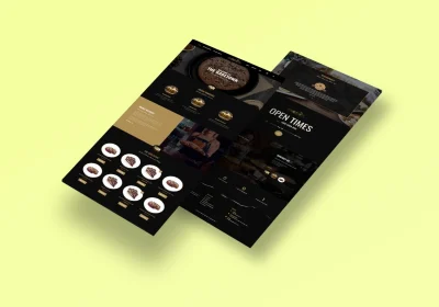 professional wordpress website design or wordpress blog